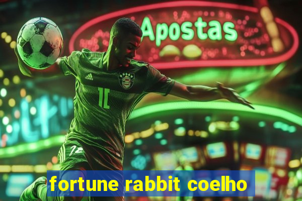 fortune rabbit coelho